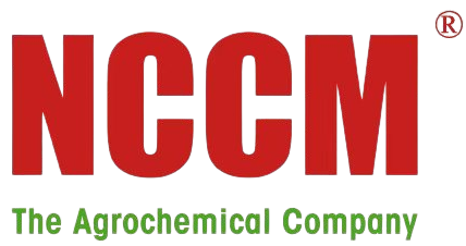 BSH-NANCHANG_CHANGMAO_NEW_MATERIAL_CO._LTD-removebg-preview
